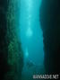 scuba diving photo