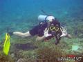 scuba diving photo