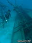 scuba diving photo