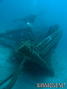 scuba diving photo
