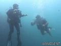 scuba diving photo