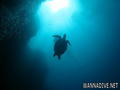 scuba diving photo