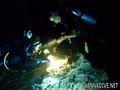 scuba diving photo