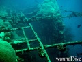 scuba diving photo