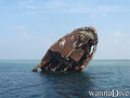 scuba diving photo
