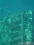 scuba diving photo