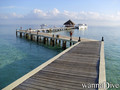 scuba diving photo