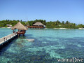 scuba diving photo