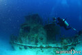 scuba diving photo