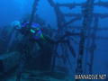scuba diving photo
