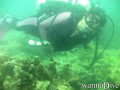 scuba diving photo