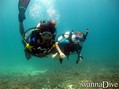 scuba diving photo