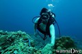 scuba diving photo