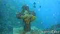 scuba diving photo