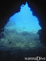 scuba diving photo