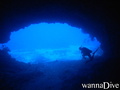 scuba diving photo