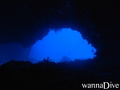 scuba diving photo