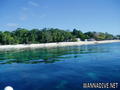 scuba diving photo