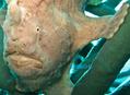 scuba diving photo