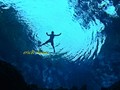 scuba diving photo