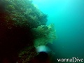 scuba diving photo
