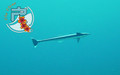 scuba diving photo