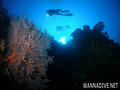 scuba diving photo