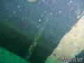 scuba diving photo