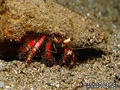 scuba diving photo