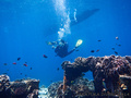 scuba diving photo