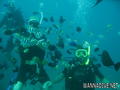 scuba diving photo