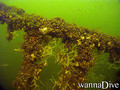 scuba diving photo