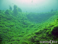 scuba diving photo