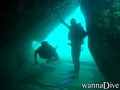scuba diving photo