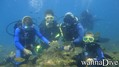 scuba diving photo