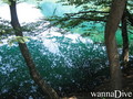 scuba diving photo