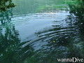 scuba diving photo
