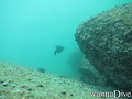 scuba diving photo