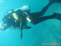 scuba diving photo