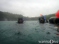 scuba diving photo