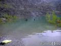 scuba diving photo