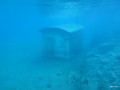 scuba diving photo