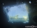 scuba diving photo