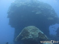scuba diving photo