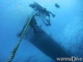 scuba diving photo