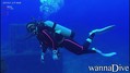 scuba diving photo