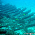 scuba diving photo