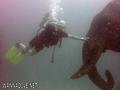 scuba diving photo