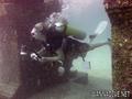 scuba diving photo