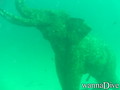 scuba diving photo